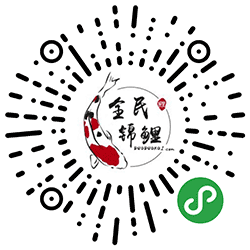 全民多多锦鲤小程序二维码