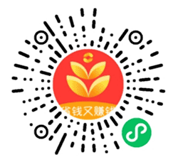 淘大麦小程序二维码