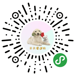 天天爱遛狗小程序二维码