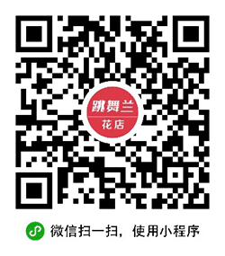 跳舞兰花店小程序二维码