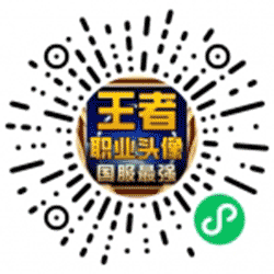 王者职业头像挂件小程序二维码