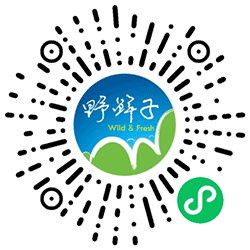 野鲜子小程序二维码