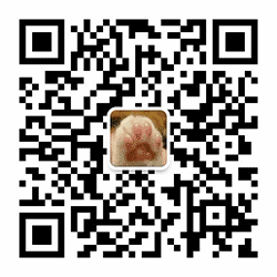 一折惠小程序二维码