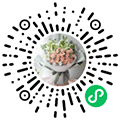  花店订花送花预订小程序ico