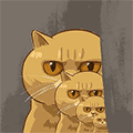  简猫影视小程序ico