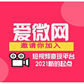 爱微网团队小程序ico