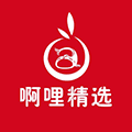啊哩精选小程序ico