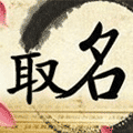 宝宝免费取名小程序ico