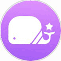北星传媒KTV小程序ico