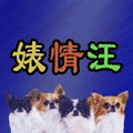 婊情汪小程序ico