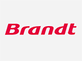 BRANDT（白朗）小程序ico