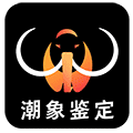 潮象鉴定小程序ico