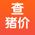 查猪价小程序ico