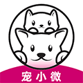 宠小微小程序ico