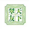 翠友天下小程序ico