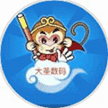 大圣数码小程序ico