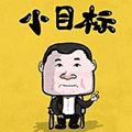 定个小目标挣它一个亿小程序ico