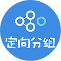 定向分组小程序ico