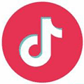 抖友助手小程序ico