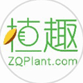 多肉植物推荐小程序ico
