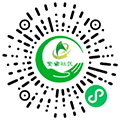 繁世文化小程序ico