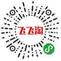 飞飞淘小程序ico
