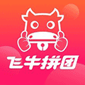 飞拼团长端小程序ico