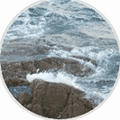 海洋惠分享小程序ico