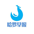 哈罗早报小程序ico