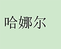 哈娜尔小程序ico