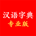 汉语字典专业版小程序ico