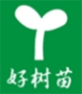 好树苗小程序ico