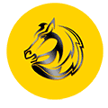 黑马雷达小程序ico