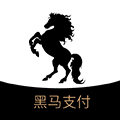 黑马支付小程序ico