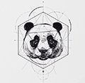 厚脸皮去水印小程序ico