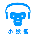 猴运小程序ico