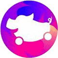 花小猪打车小程序ico