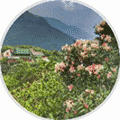 湖南旅游攻略小程序ico