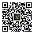 杭州天众车务科技有限公司小程序ico