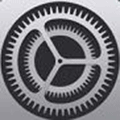 iOS降级查询小程序ico