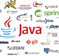JAVA架构师历程小程序ico