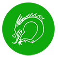 接龙易小程序ico
