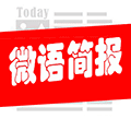 今日微语简报小程序ico