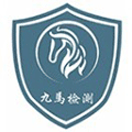 九马汽车检测小程序ico