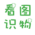 看图学说话小程序ico