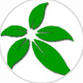绿色生态有机食品小程序ico