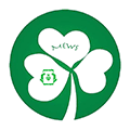 MEWS预警评分小程序ico