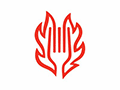 明星减肥餐小程序ico