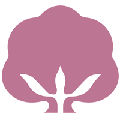 棉立方女装商城小程序ico