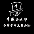 牛逼去水印小程序ico